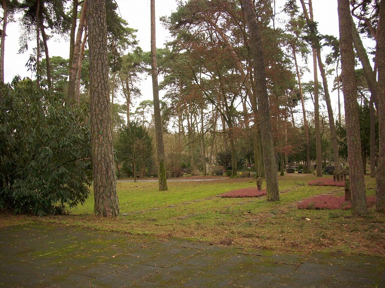 Waldfriedhof Mombach auf Waldfriedhof Mainz-Mombach