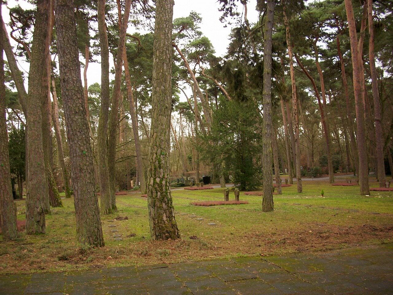 Sowjetisches Ehrenfeld auf Waldfriedhof Mainz-Mombach